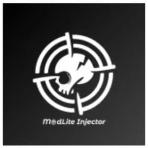 Modlite Injector